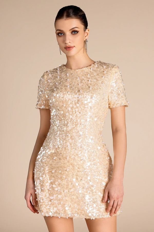 Tosorthrus Sequin Beaded Mini Dress