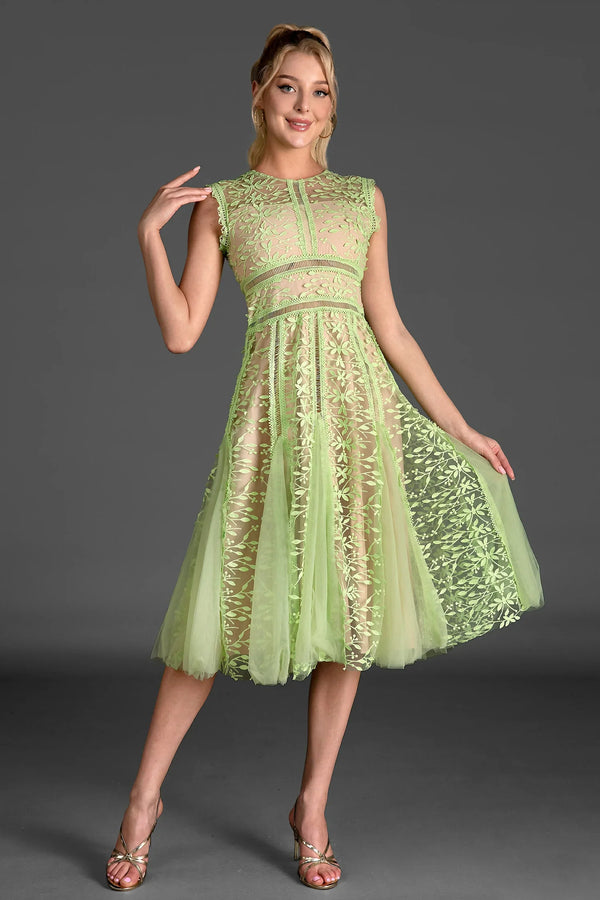 Tassoti Sleeveless Lace Embroidered Dress