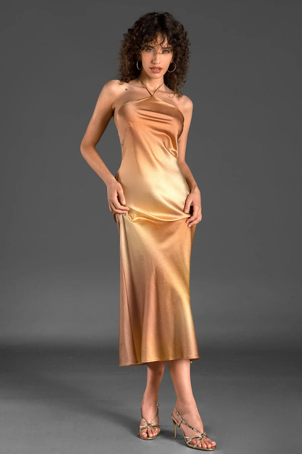 Zanelis Halter Gradient Silk Dress In Gold